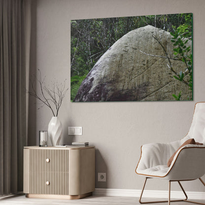 Canvas Stretched - Forest@Home - El Yunque - Hurricane Maria sandblasted this huge boulder in a river canyon - Tradewinds - Green Forest Home