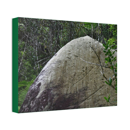Canvas Stretched - Forest@Home - El Yunque - Hurricane Maria sandblasted this huge boulder in a river canyon - Tradewinds - Green Forest Home
