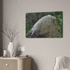 Canvas Stretched - Forest@Home - El Yunque - Hurricane Maria sandblasted this huge boulder in a river canyon - Tradewinds - Green Forest Home