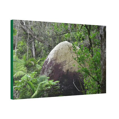 Canvas Stretched - Forest@Home - El Yunque - Hurricane Maria sandblasted this huge boulder in a river canyon - Tradewinds - Green Forest Home