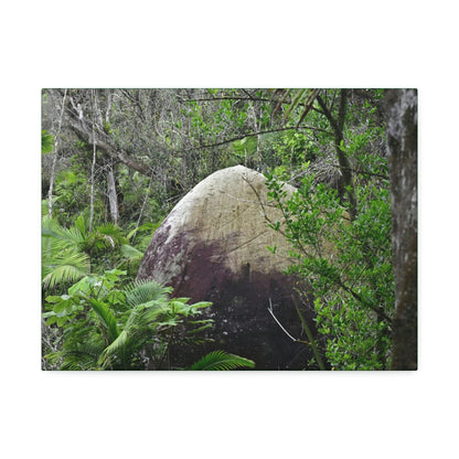 Canvas Stretched - Forest@Home - El Yunque - Hurricane Maria sandblasted this huge boulder in a river canyon - Tradewinds - Green Forest Home