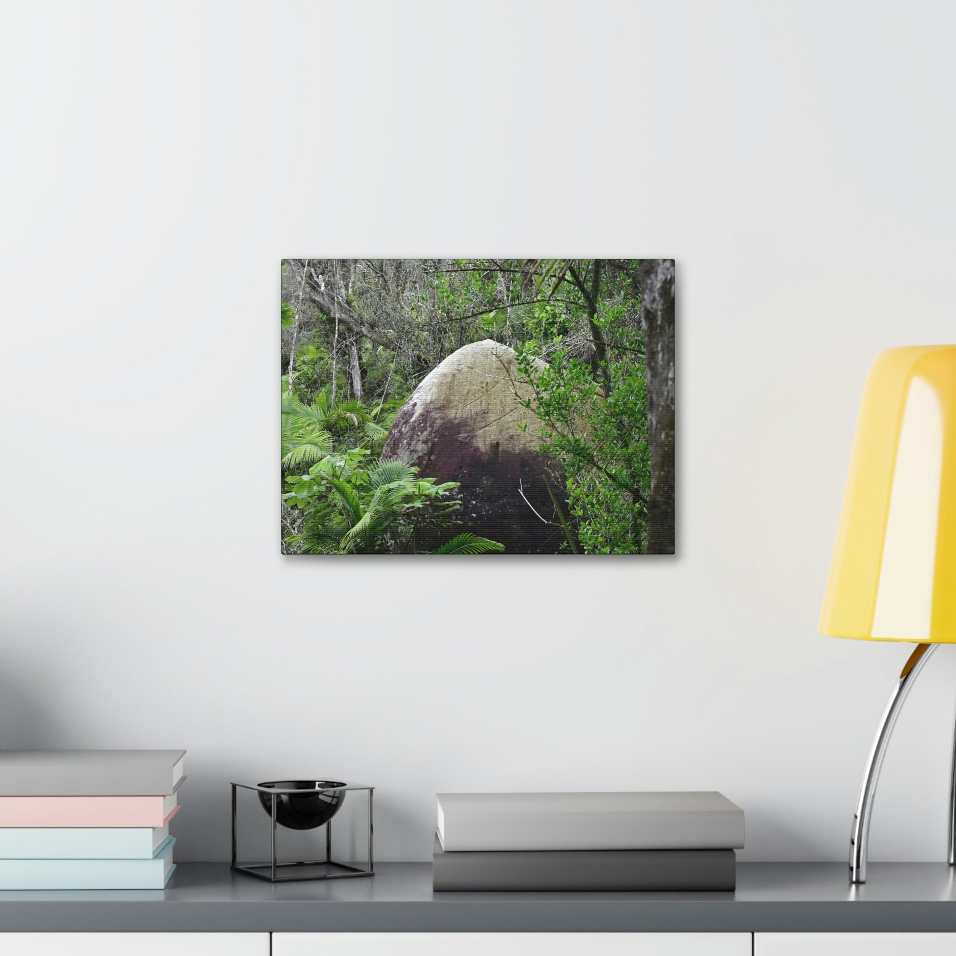 Canvas Stretched - Forest@Home - El Yunque - Hurricane Maria sandblasted this huge boulder in a river canyon - Tradewinds - Green Forest Home
