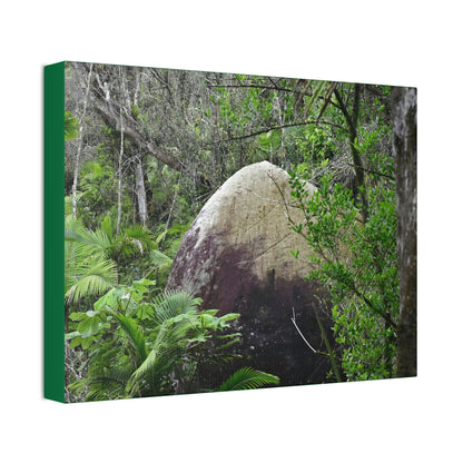 Canvas Stretched - Forest@Home - El Yunque - Hurricane Maria sandblasted this huge boulder in a river canyon - Tradewinds - Green Forest Home