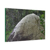 Canvas Stretched - Forest@Home - El Yunque - Hurricane Maria sandblasted this huge boulder in a river canyon - Tradewinds - Green Forest Home