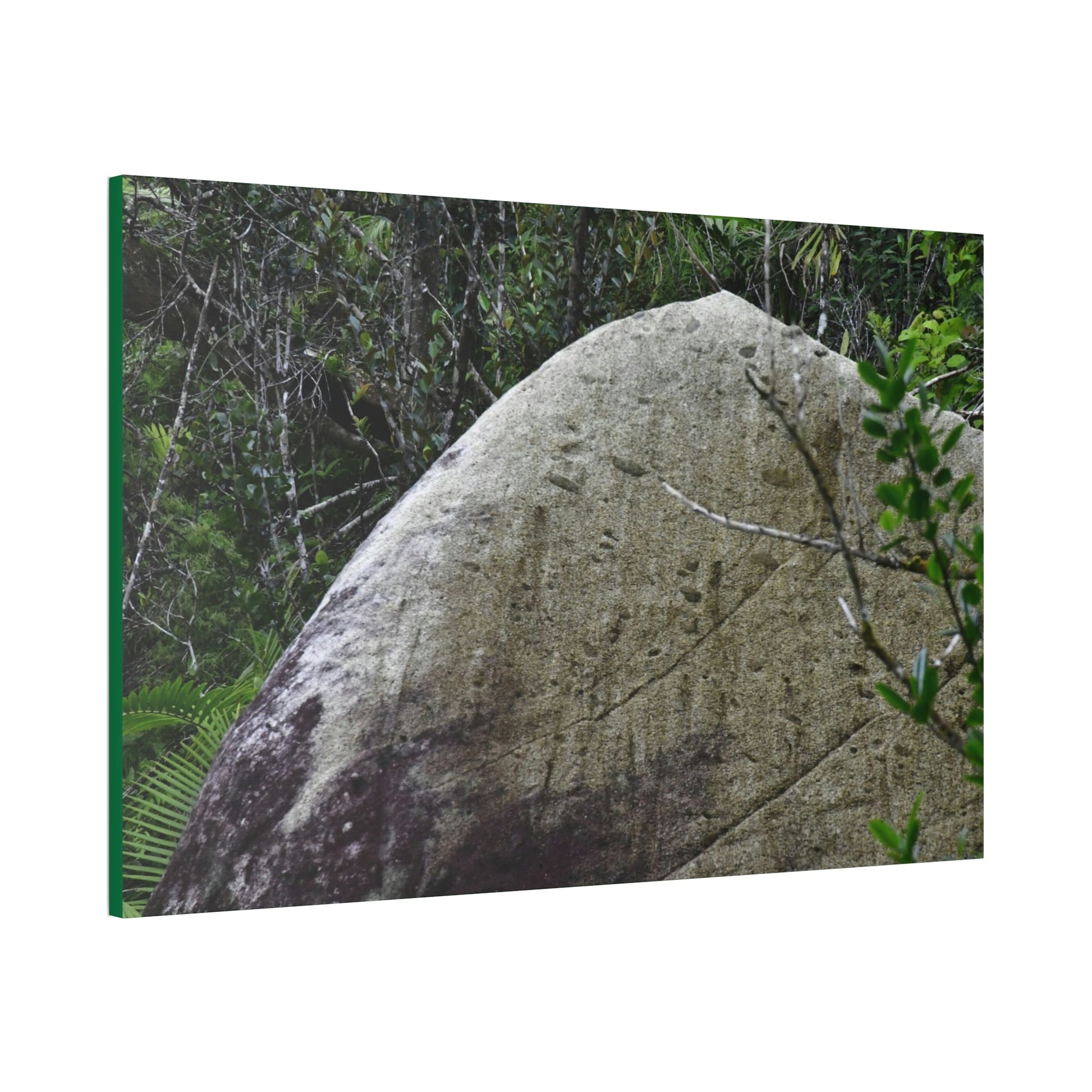 Canvas Stretched - Forest@Home - El Yunque - Hurricane Maria sandblasted this huge boulder in a river canyon - Tradewinds - Green Forest Home
