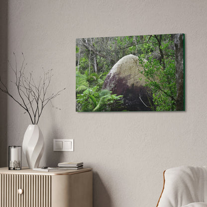 Canvas Stretched - Forest@Home - El Yunque - Hurricane Maria sandblasted this huge boulder in a river canyon - Tradewinds - Green Forest Home