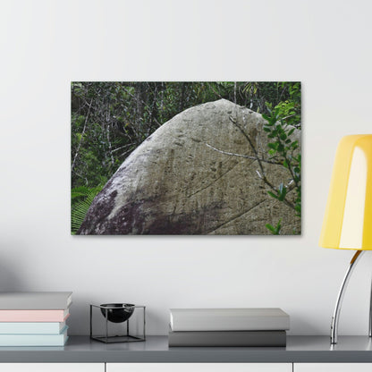 Canvas Stretched - Forest@Home - El Yunque - Hurricane Maria sandblasted this huge boulder in a river canyon - Tradewinds - Green Forest Home