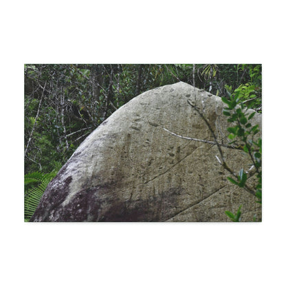 Canvas Stretched - Forest@Home - El Yunque - Hurricane Maria sandblasted this huge boulder in a river canyon - Tradewinds - Green Forest Home