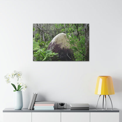 Canvas Stretched - Forest@Home - El Yunque - Hurricane Maria sandblasted this huge boulder in a river canyon - Tradewinds - Green Forest Home