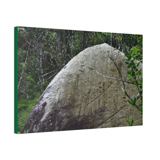 Canvas Stretched - Forest@Home - El Yunque - Hurricane Maria sandblasted this huge boulder in a river canyon - Tradewinds - Green Forest Home