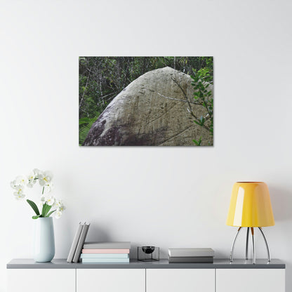 Canvas Stretched - Forest@Home - El Yunque - Hurricane Maria sandblasted this huge boulder in a river canyon - Tradewinds - Green Forest Home