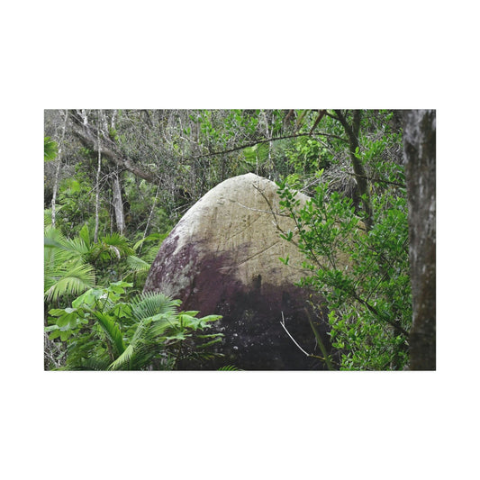 Canvas Stretched - Forest@Home - El Yunque - Hurricane Maria sandblasted this huge boulder in a river canyon - Tradewinds - Green Forest Home
