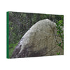 Canvas Stretched - Forest@Home - El Yunque - Hurricane Maria sandblasted this huge boulder in a river canyon - Tradewinds - Green Forest Home
