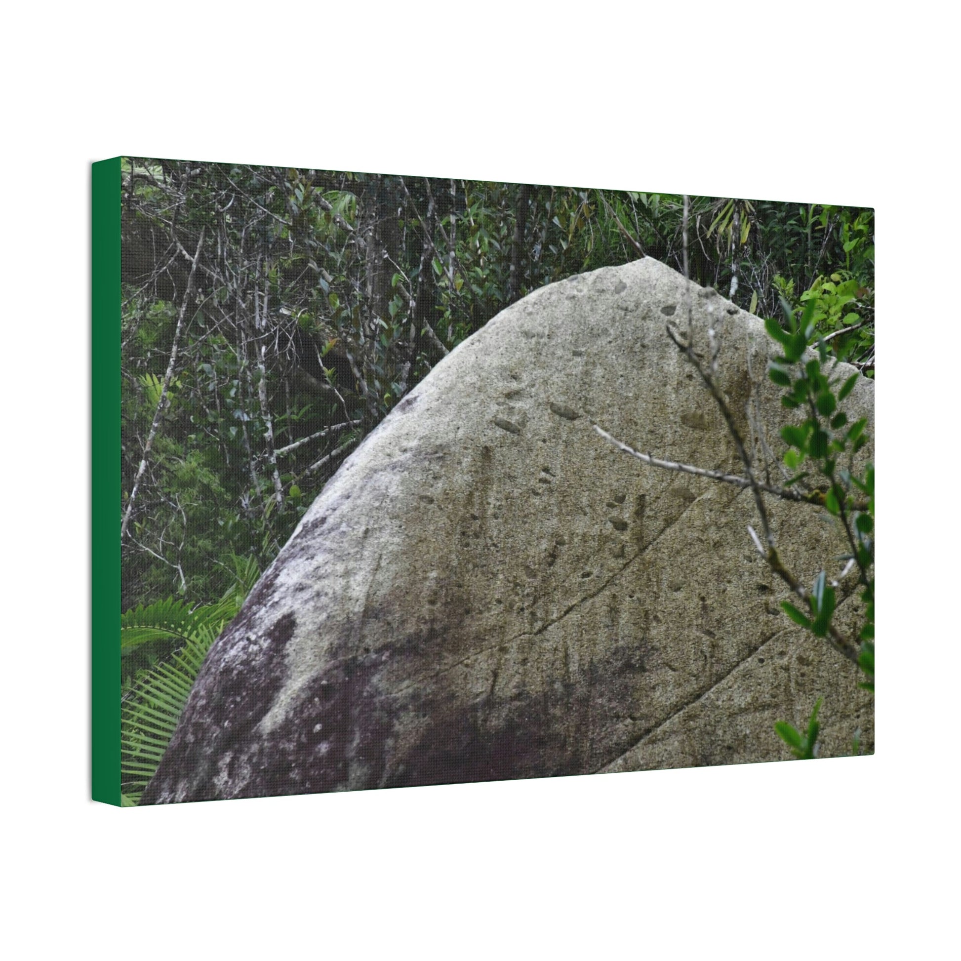 Canvas Stretched - Forest@Home - El Yunque - Hurricane Maria sandblasted this huge boulder in a river canyon - Tradewinds - Green Forest Home