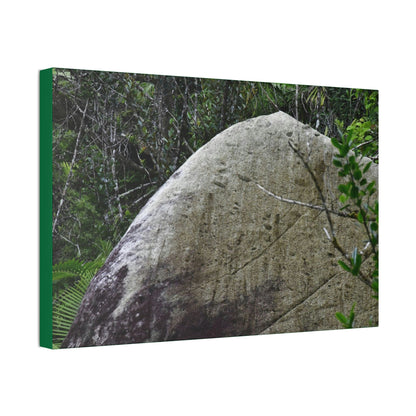 Canvas Stretched - Forest@Home - El Yunque - Hurricane Maria sandblasted this huge boulder in a river canyon - Tradewinds - Green Forest Home