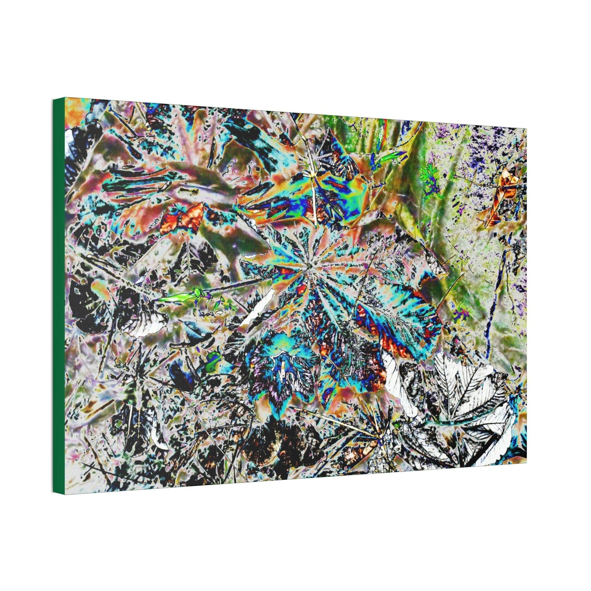 Canvas Stretched - Forest@Home - El Yunque - Modified color curve of fallen Yagrumo leaves - a color madness - Tradewinds trail - Green Forest Home
