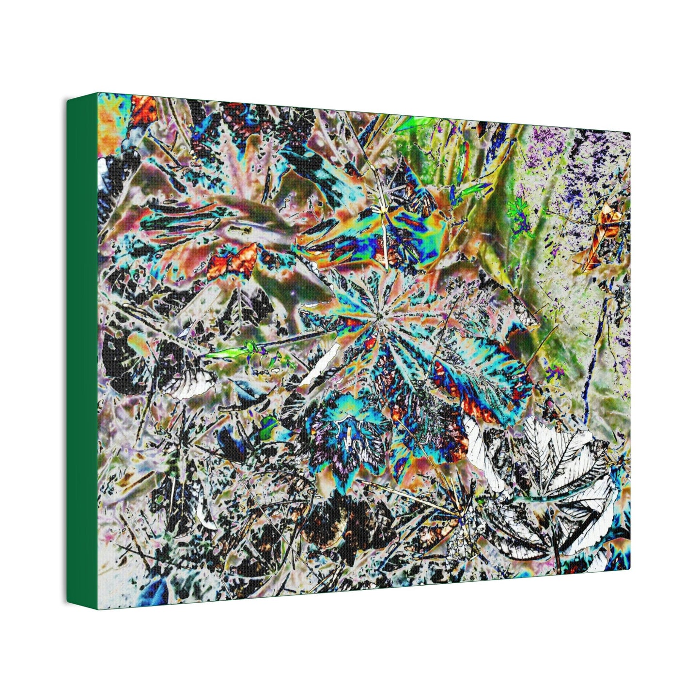 Canvas Stretched - Forest@Home - El Yunque - Modified color curve of fallen Yagrumo leaves - a color madness - Tradewinds trail - Green Forest Home