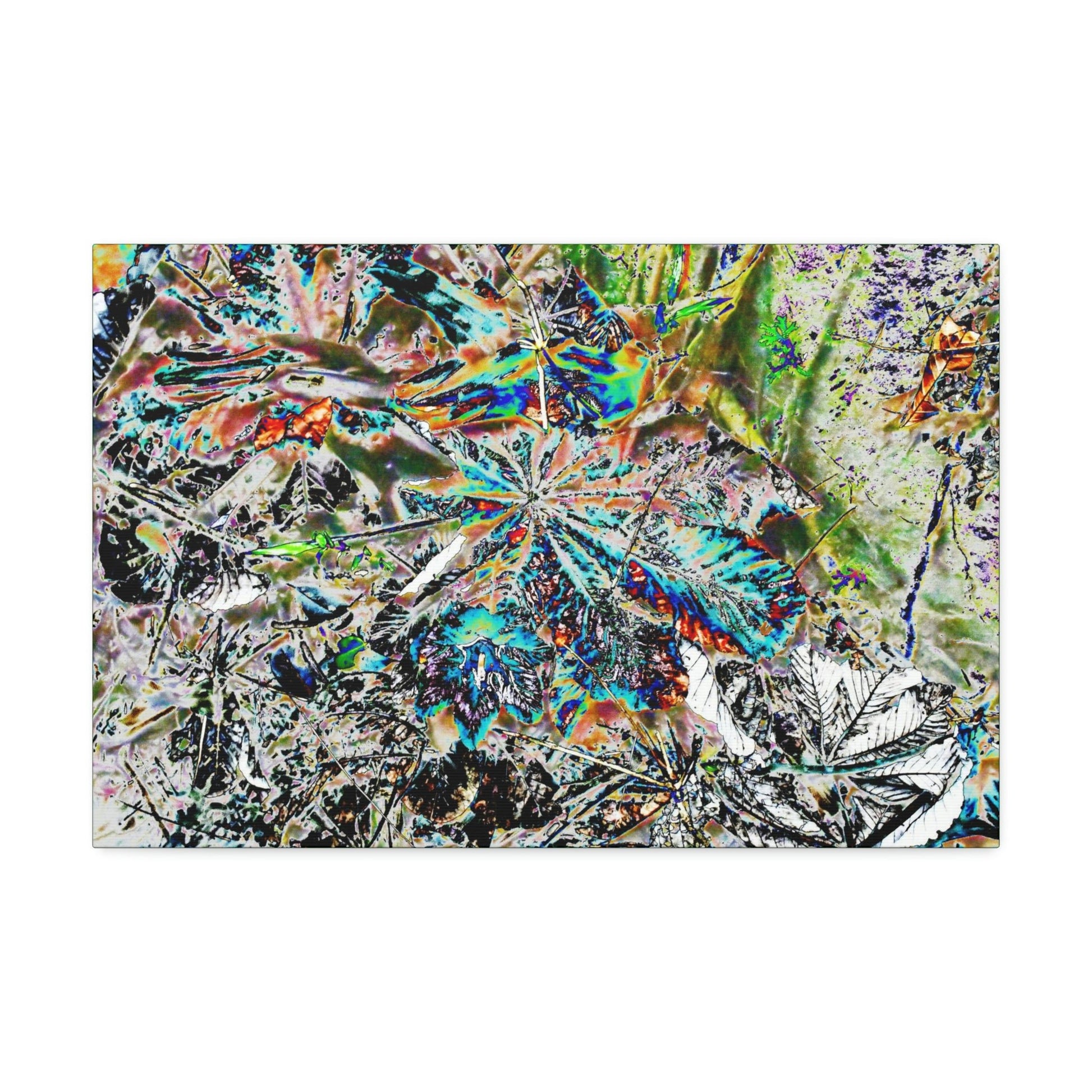 Canvas Stretched - Forest@Home - El Yunque - Modified color curve of fallen Yagrumo leaves - a color madness - Tradewinds trail - Green Forest Home