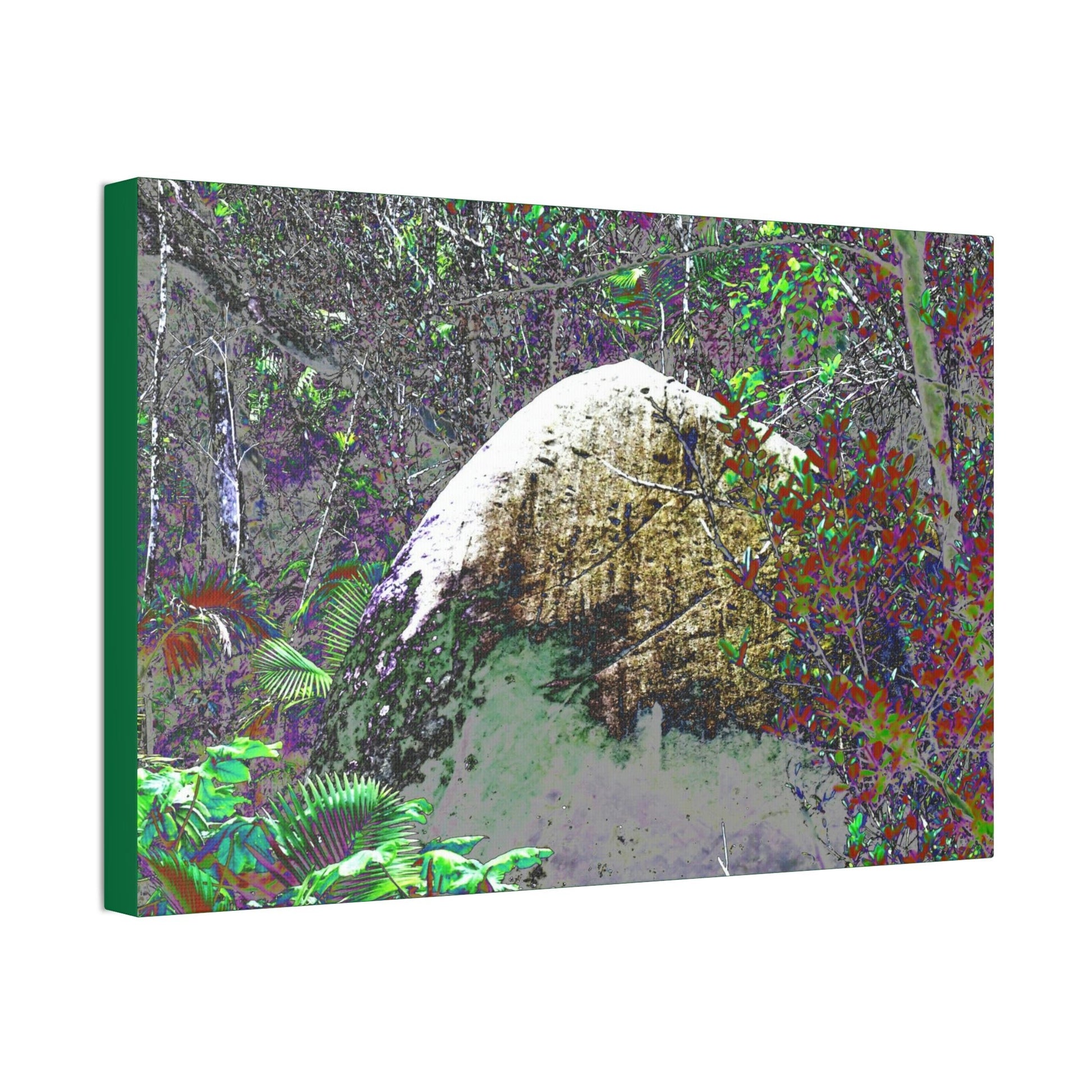 Canvas Stretched - Forest@Home - El Yunque - Modified Color curves enhance a large boulder sandblasted by Maria 140MPH winds. - Green Forest Home