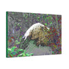 Canvas Stretched - Forest@Home - El Yunque - Modified Color curves enhance a large boulder sandblasted by Maria 140MPH winds. - Green Forest Home