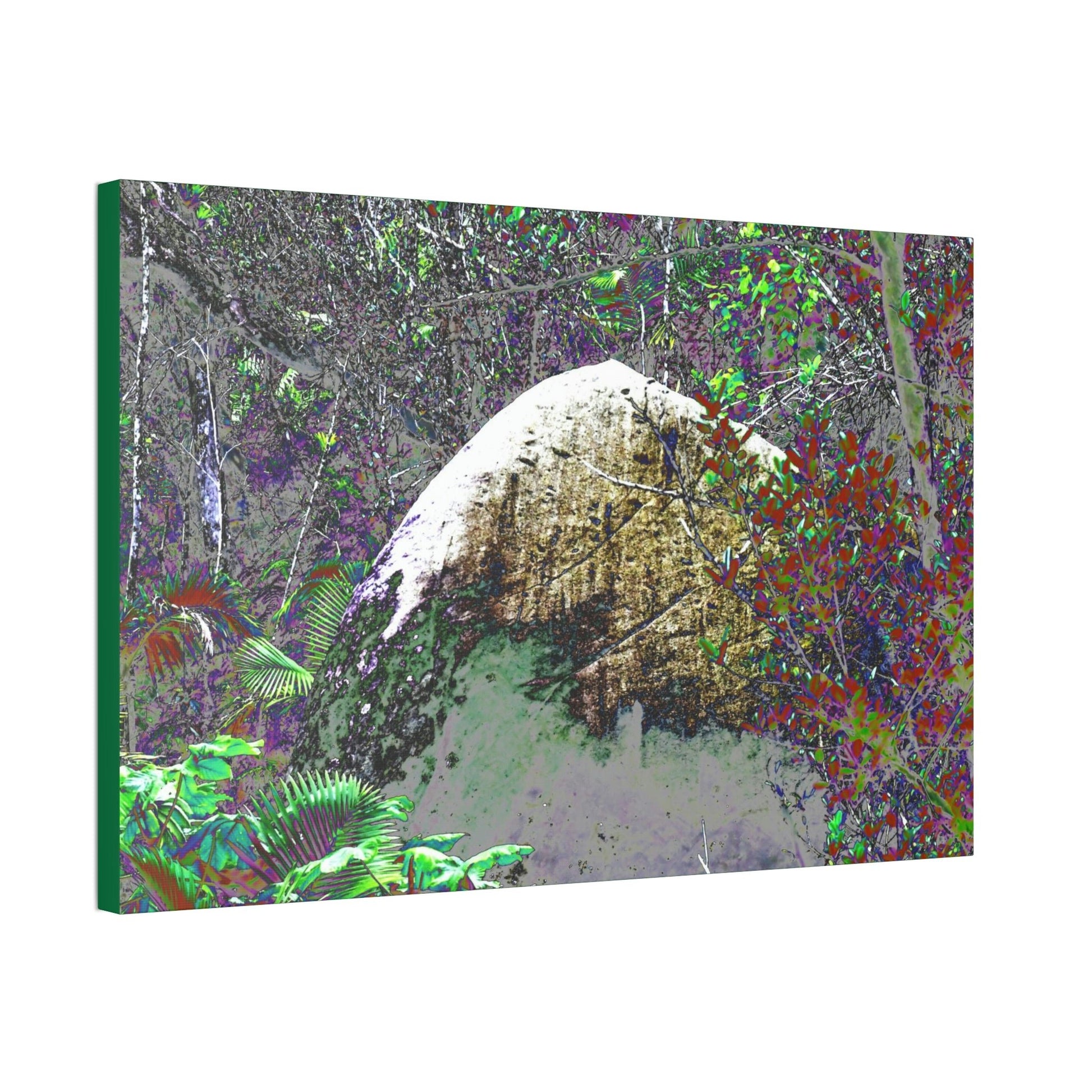 Canvas Stretched - Forest@Home - El Yunque - Modified Color curves enhance a large boulder sandblasted by Maria 140MPH winds. - Green Forest Home