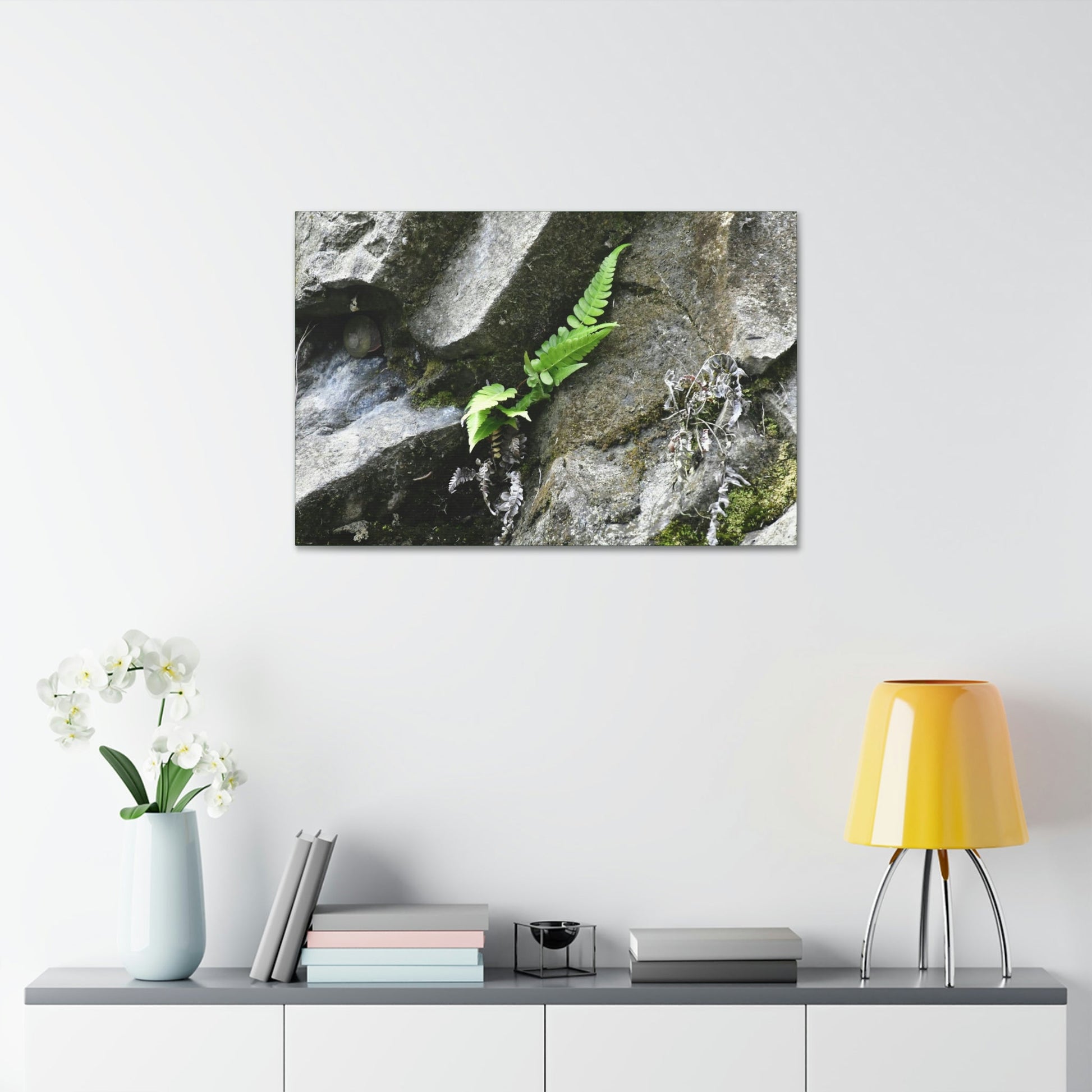 Canvas Stretched - Forest@Home - El Yunque National Forest - Recovering from Hurricane Maria - A humble fern grows on a boulder - Green Forest Home