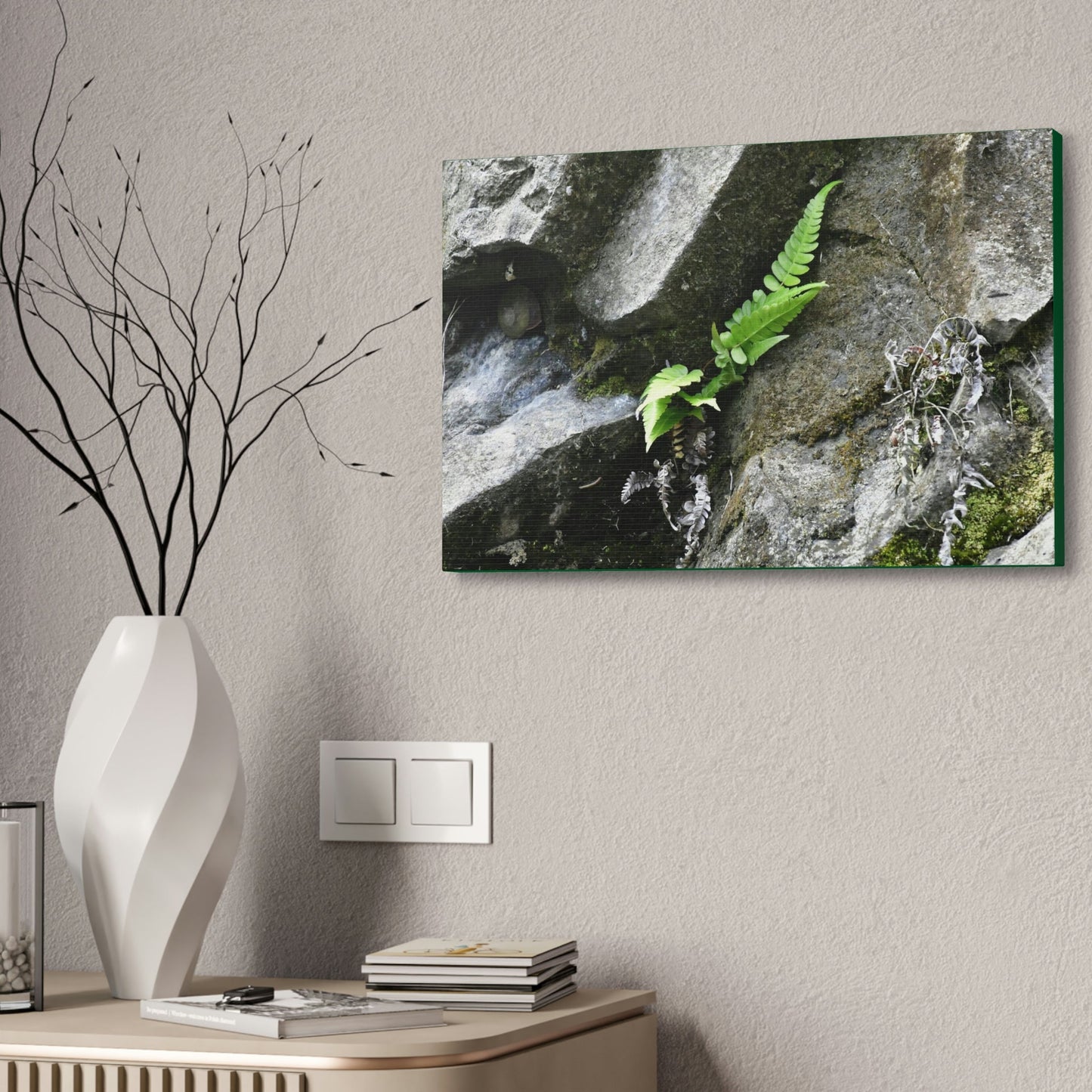 Canvas Stretched - Forest@Home - El Yunque National Forest - Recovering from Hurricane Maria - A humble fern grows on a boulder - Green Forest Home