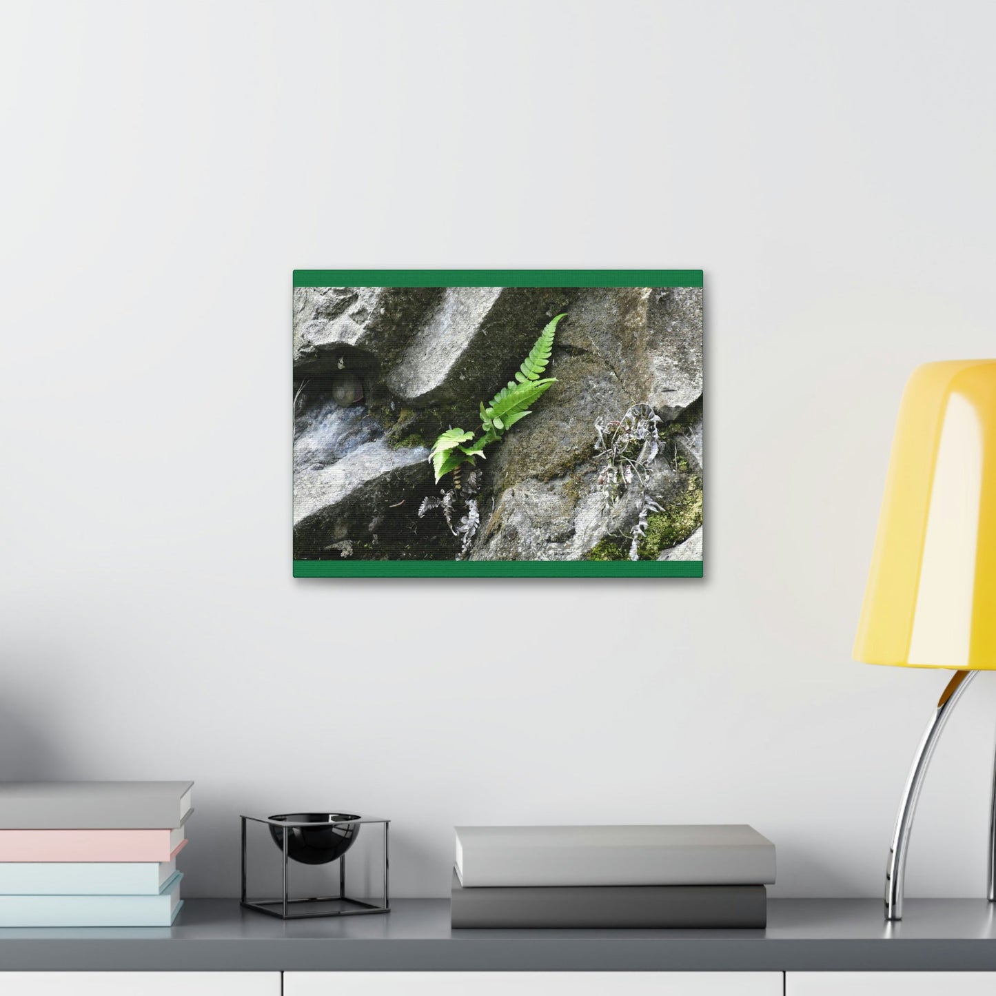 Canvas Stretched - Forest@Home - El Yunque National Forest - Recovering from Hurricane Maria - A humble fern grows on a boulder - Green Forest Home