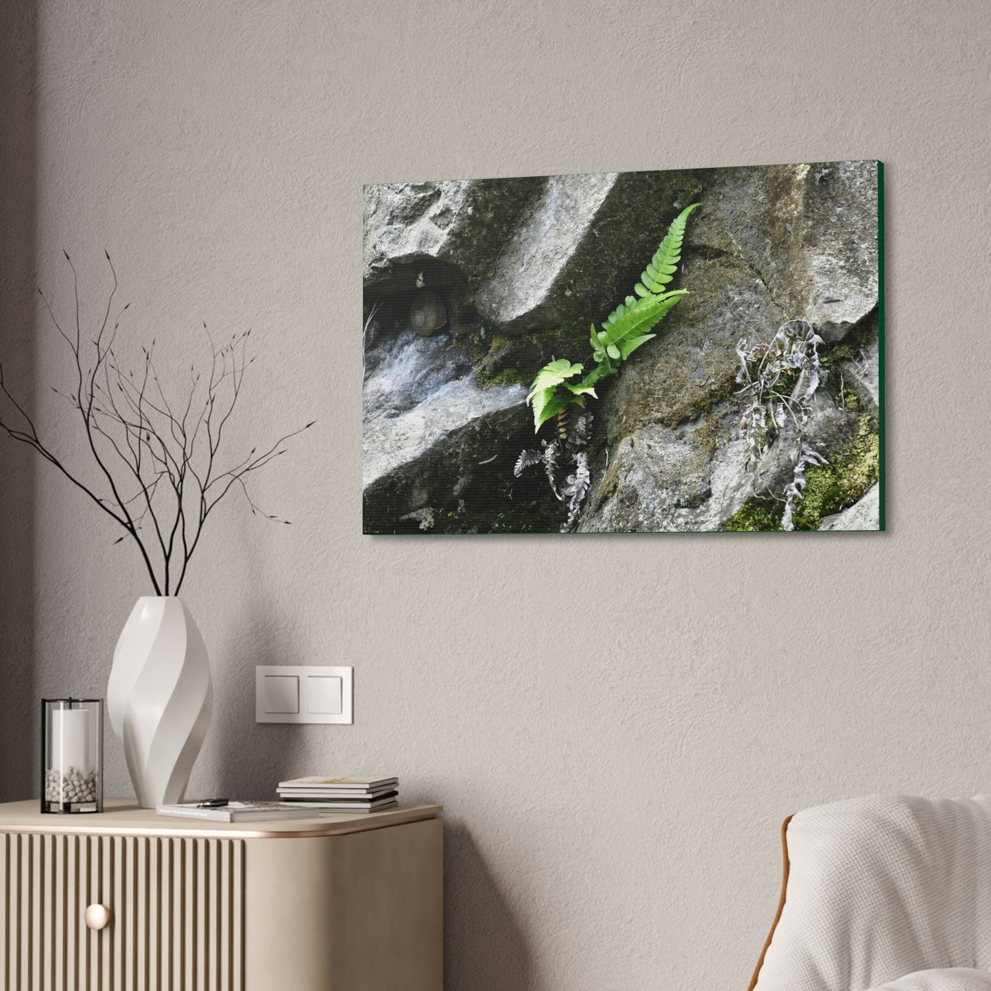 Canvas Stretched - Forest@Home - El Yunque National Forest - Recovering from Hurricane Maria - A humble fern grows on a boulder - Green Forest Home