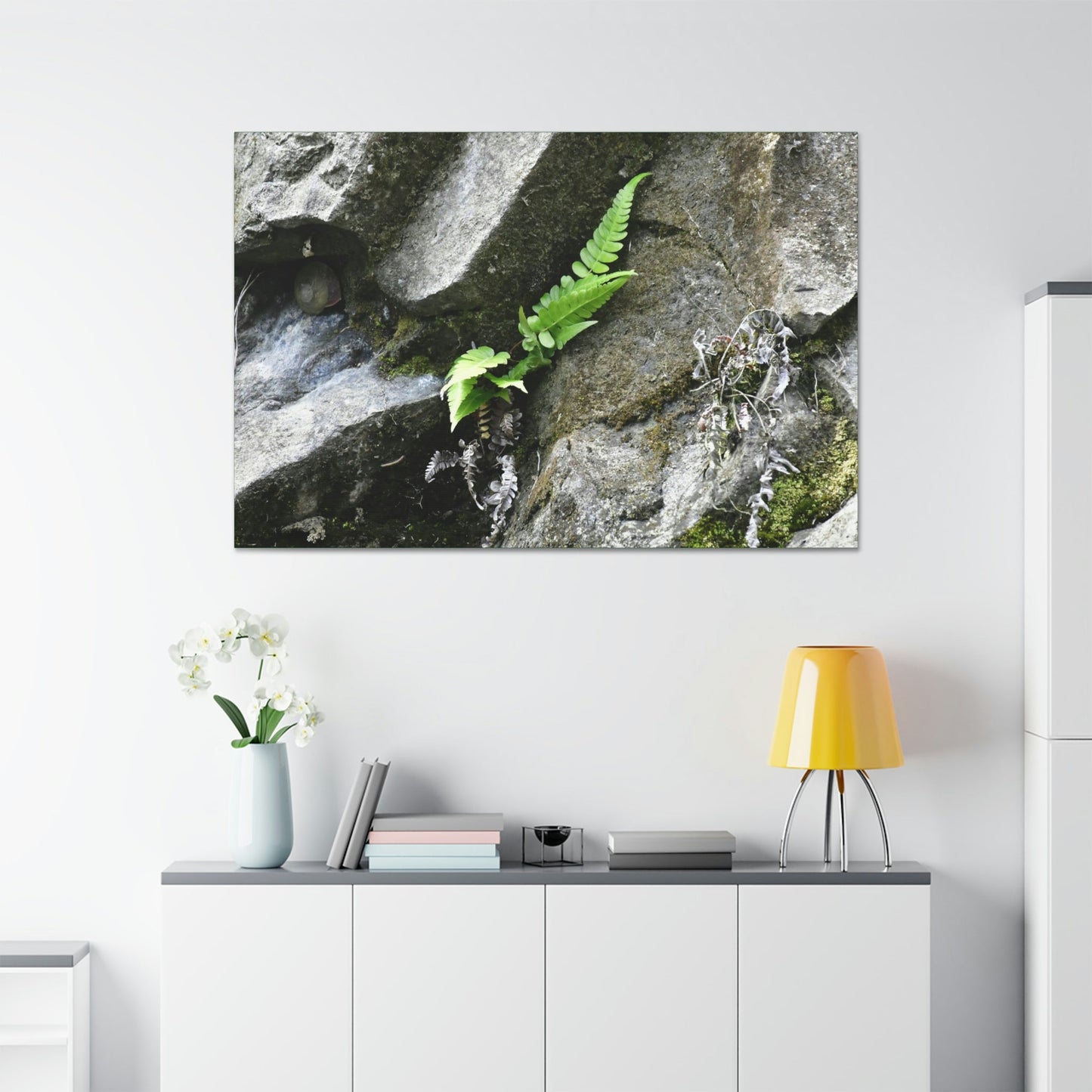Canvas Stretched - Forest@Home - El Yunque National Forest - Recovering from Hurricane Maria - A humble fern grows on a boulder - Green Forest Home