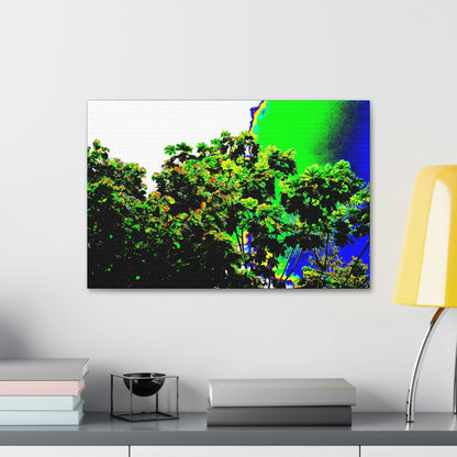 Canvas Stretched - Forest@Home - El Yunque National Forest - Recovering from Hurricane Maria - a Yagrumo tree grows after the storm - Green Forest Home