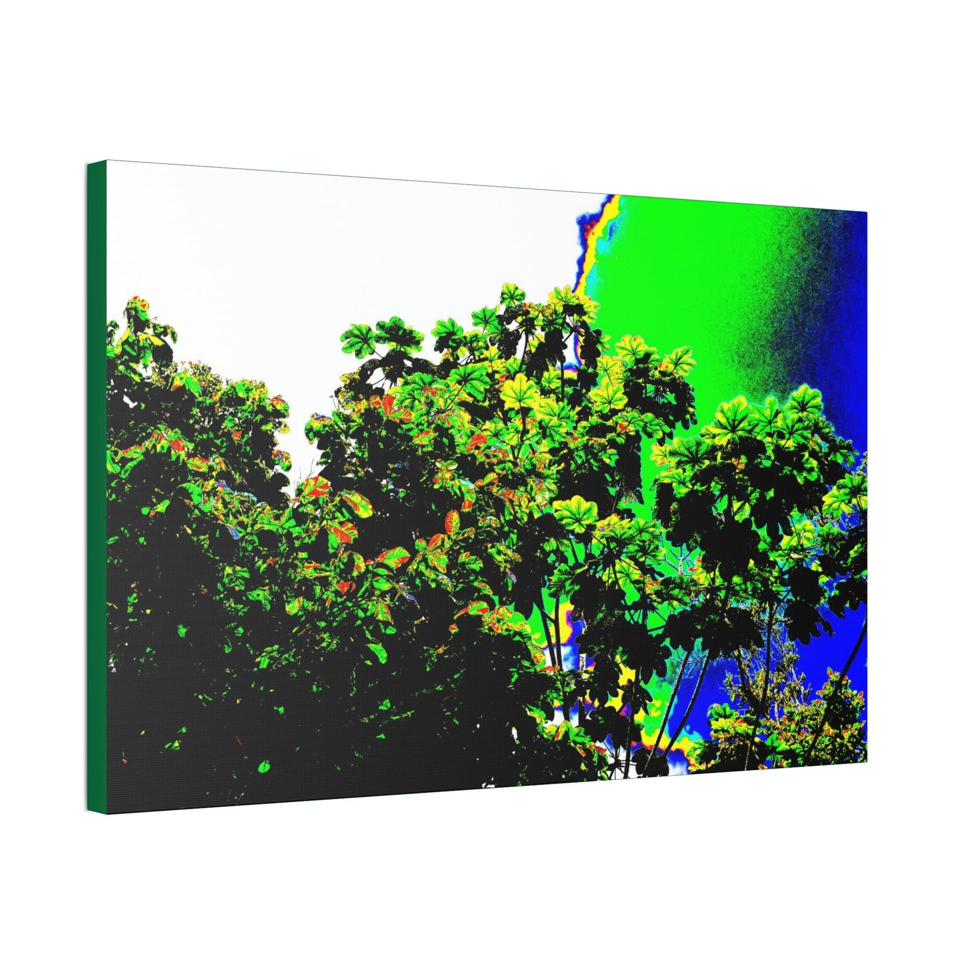 Canvas Stretched - Forest@Home - El Yunque National Forest - Recovering from Hurricane Maria - a Yagrumo tree grows after the storm - Green Forest Home