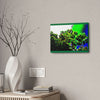 Canvas Stretched - Forest@Home - El Yunque National Forest - Recovering from Hurricane Maria - a Yagrumo tree grows after the storm - Green Forest Home