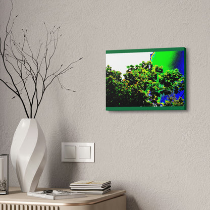 Canvas Stretched - Forest@Home - El Yunque National Forest - Recovering from Hurricane Maria - a Yagrumo tree grows after the storm - Green Forest Home