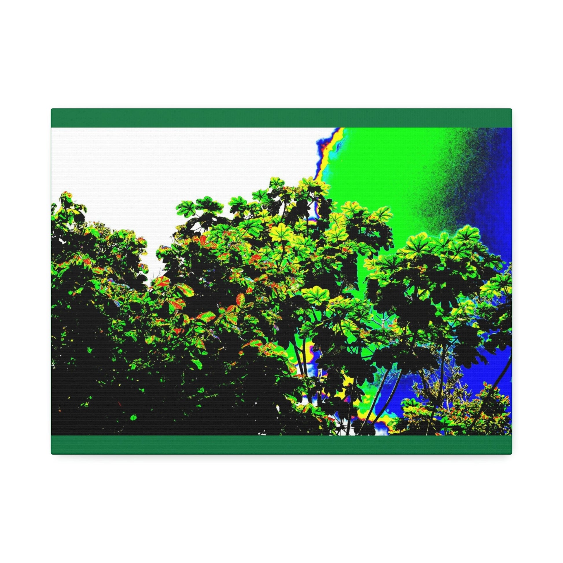 Canvas Stretched - Forest@Home - El Yunque National Forest - Recovering from Hurricane Maria - a Yagrumo tree grows after the storm - Green Forest Home