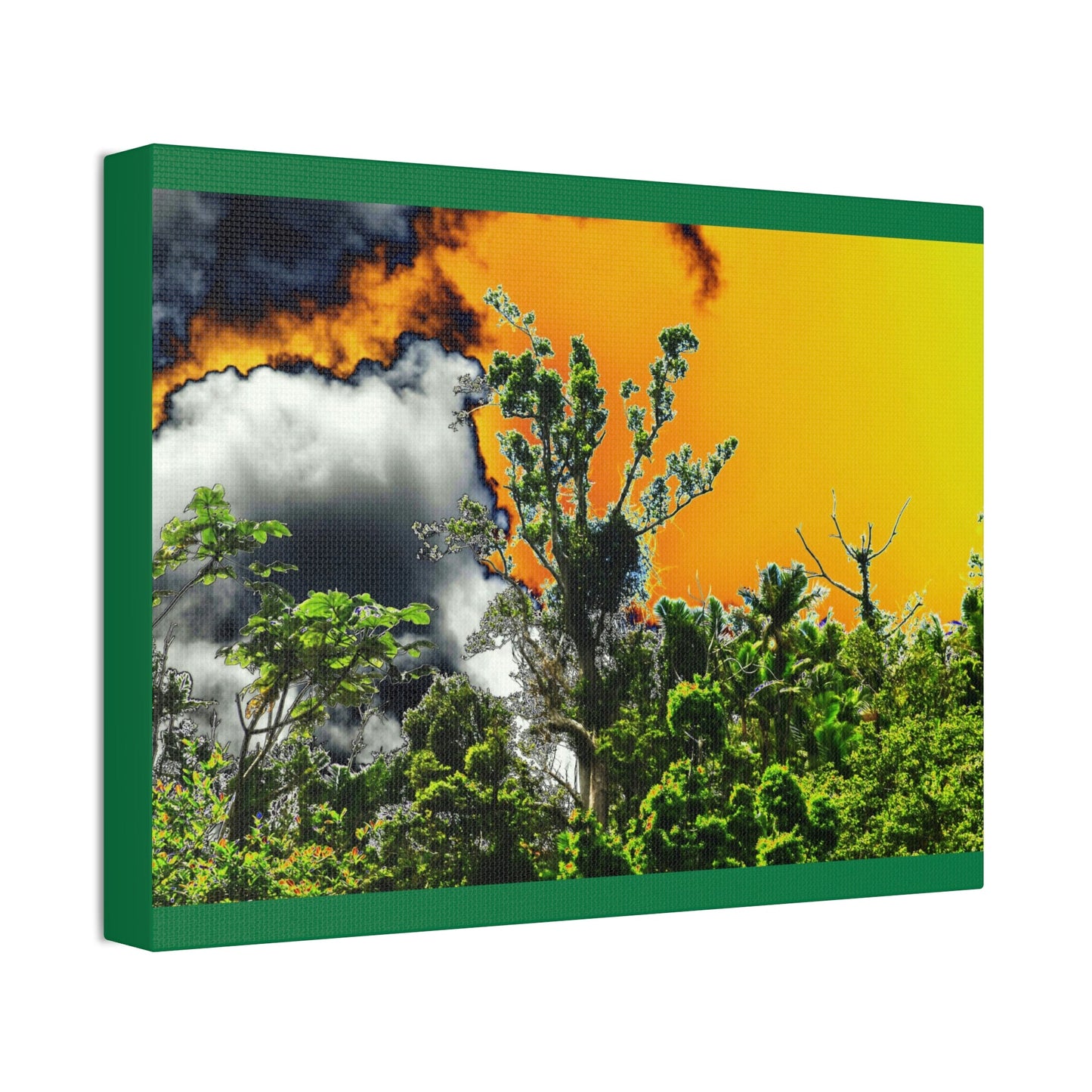 Canvas Stretched - Forest@Home - El Yunque National Forest - Recovering from Hurricane Maria - clouds & trees decimated by Hurr Maria - Green Forest Home