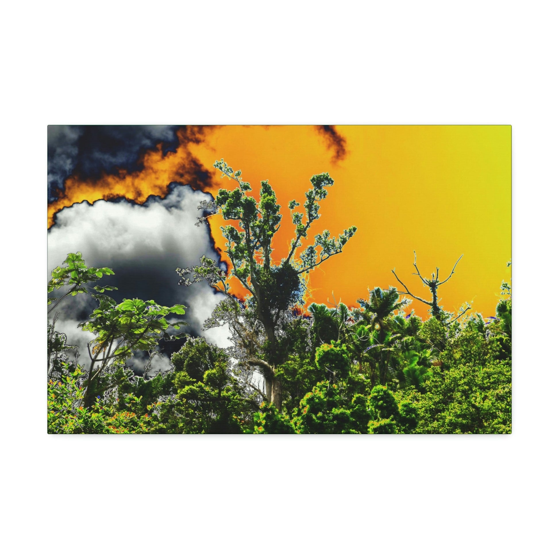 Canvas Stretched - Forest@Home - El Yunque National Forest - Recovering from Hurricane Maria - clouds & trees decimated by Hurr Maria - Green Forest Home