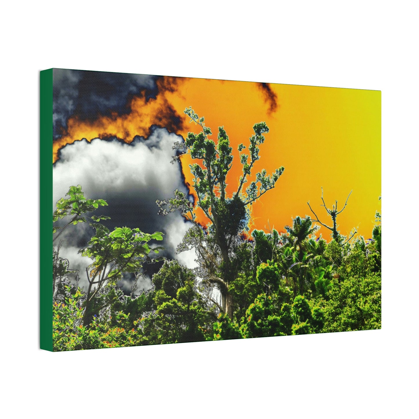 Canvas Stretched - Forest@Home - El Yunque National Forest - Recovering from Hurricane Maria - clouds & trees decimated by Hurr Maria - Green Forest Home