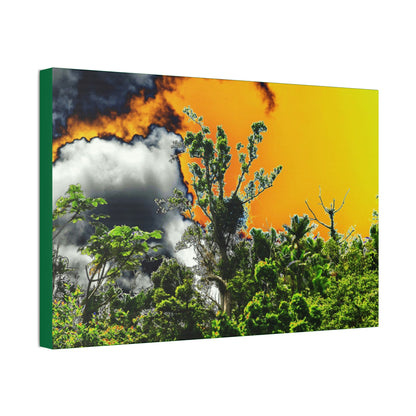 Canvas Stretched - Forest@Home - El Yunque National Forest - Recovering from Hurricane Maria - clouds & trees decimated by Hurr Maria - Green Forest Home