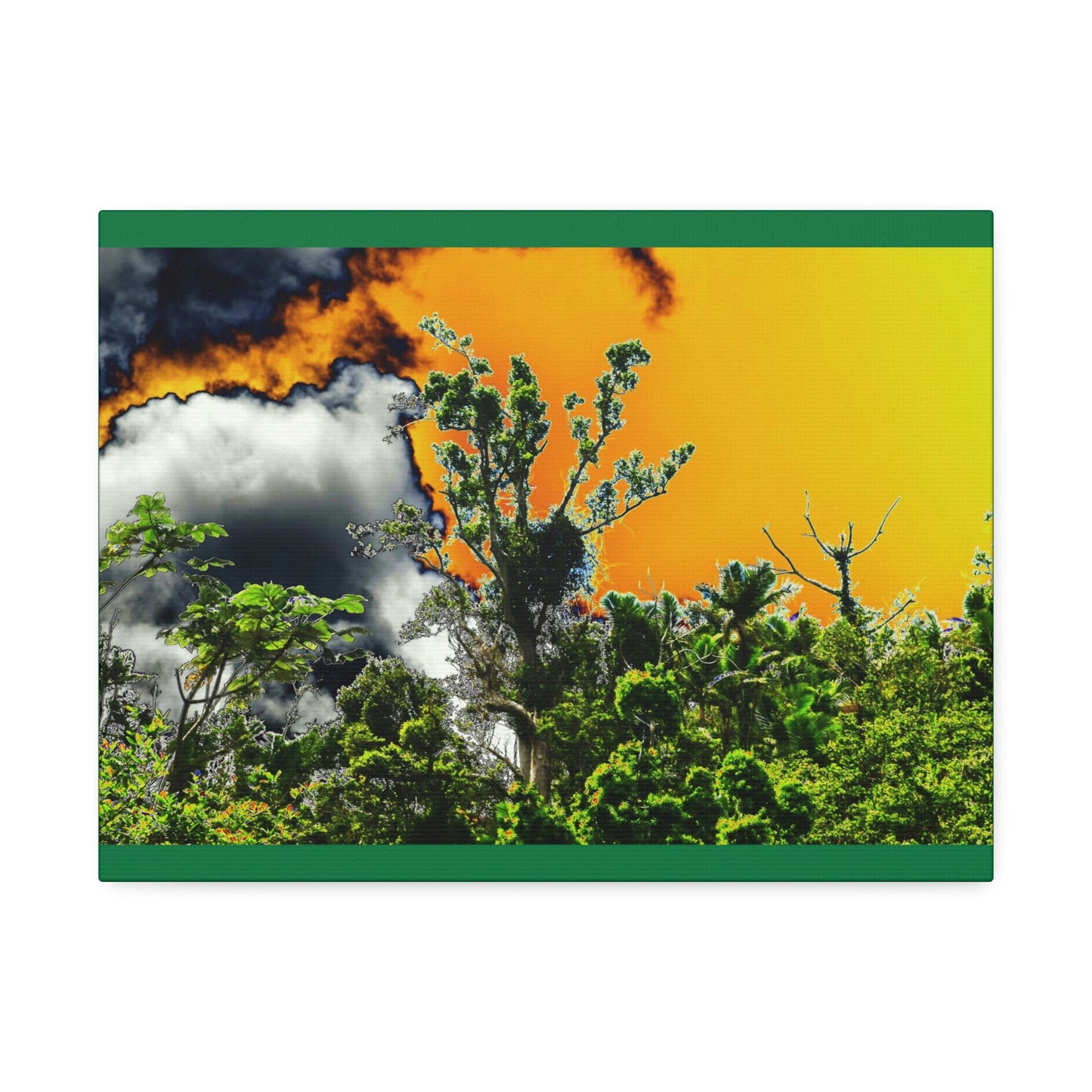 Canvas Stretched - Forest@Home - El Yunque National Forest - Recovering from Hurricane Maria - clouds & trees decimated by Hurr Maria - Green Forest Home