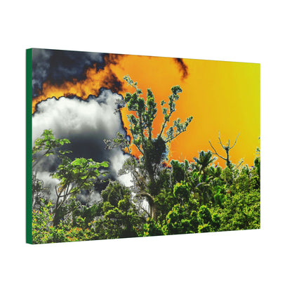 Canvas Stretched - Forest@Home - El Yunque National Forest - Recovering from Hurricane Maria - clouds & trees decimated by Hurr Maria - Green Forest Home