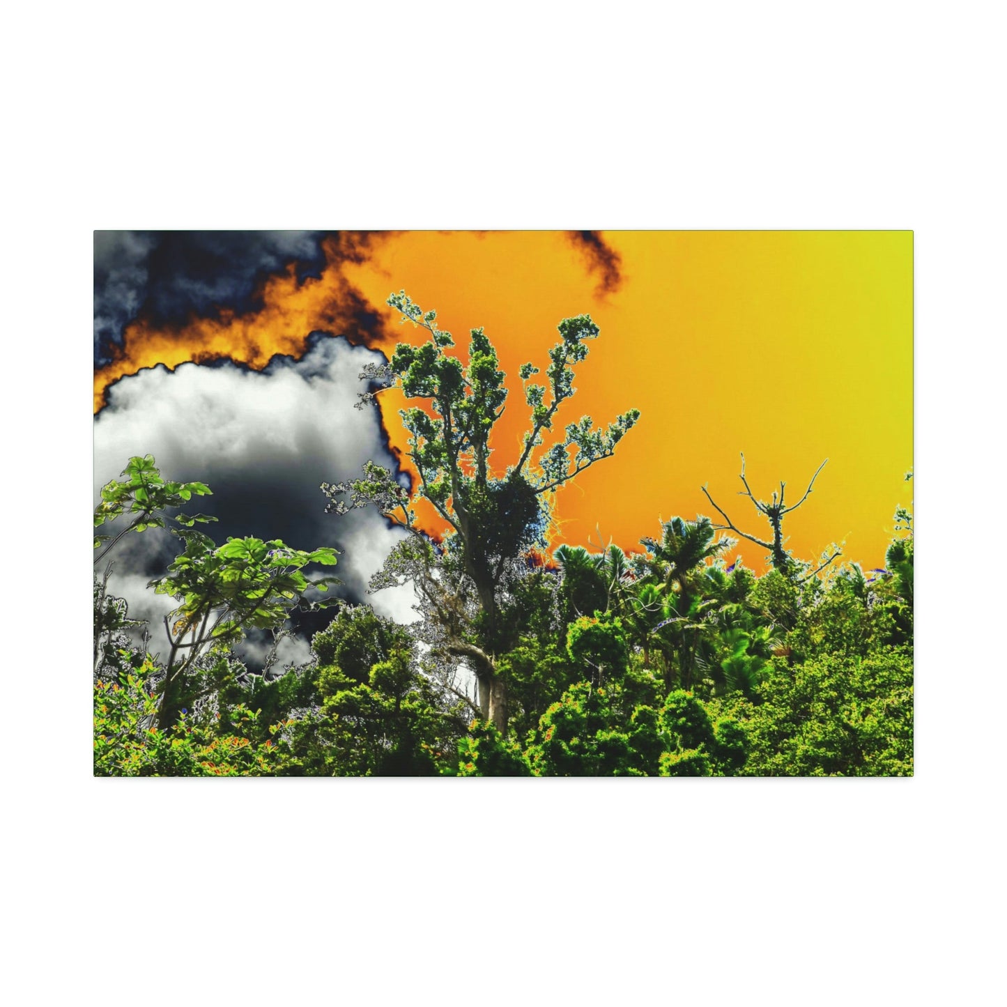 Canvas Stretched - Forest@Home - El Yunque National Forest - Recovering from Hurricane Maria - clouds & trees decimated by Hurr Maria - Green Forest Home