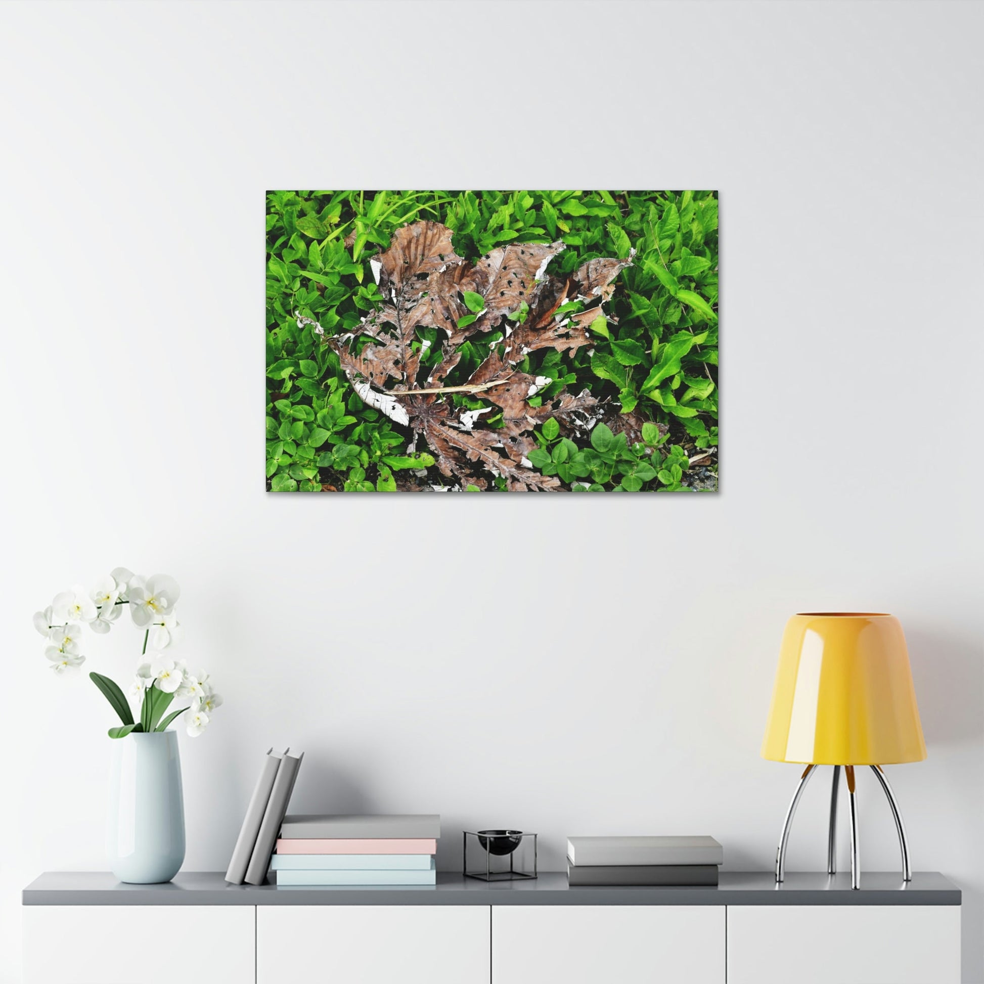 Canvas Stretched - Forest@Home - El Yunque National Forest - Recovering from Hurricane Maria - Decaying Yagrumo tree in foliage - Green Forest Home