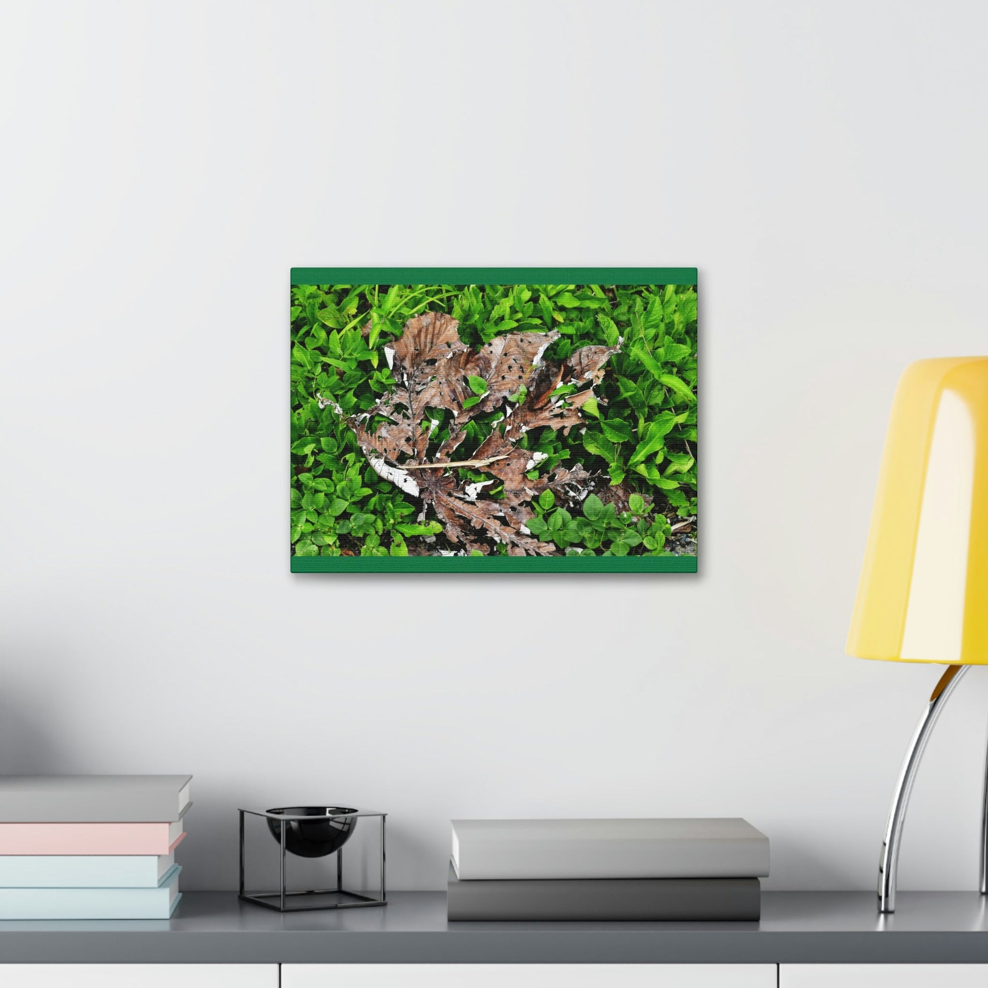 Canvas Stretched - Forest@Home - El Yunque National Forest - Recovering from Hurricane Maria - Decaying Yagrumo tree in foliage - Green Forest Home