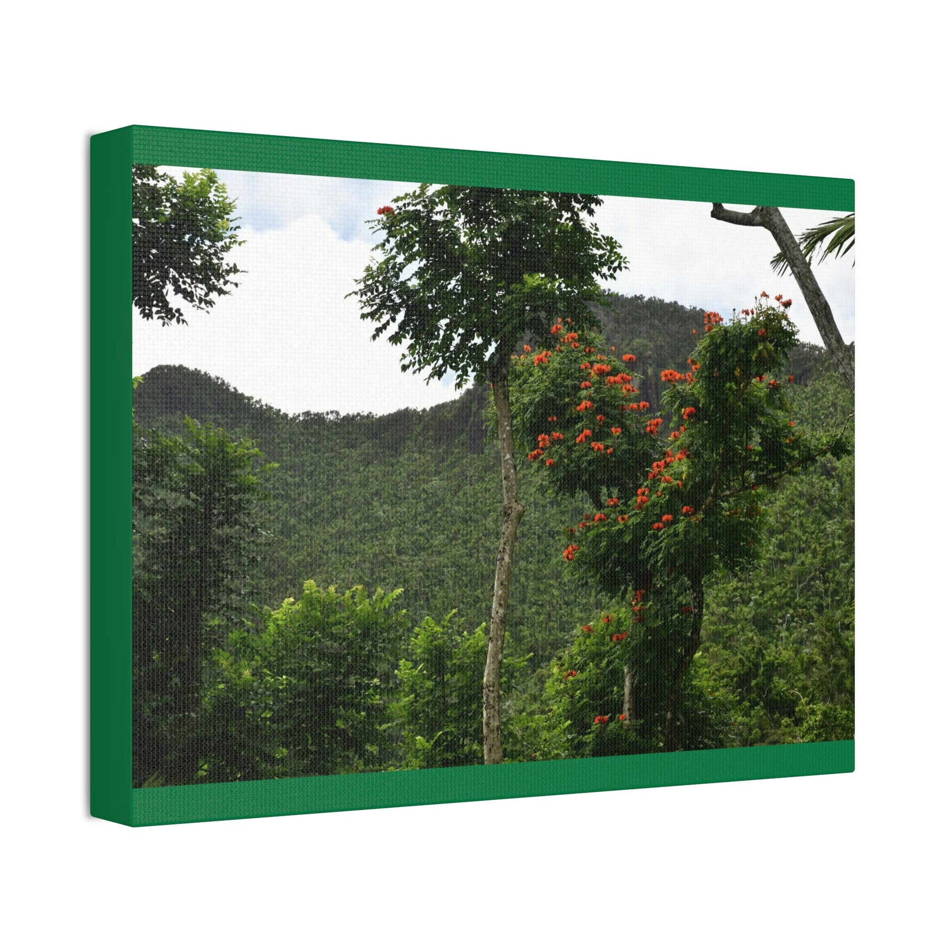 Canvas Stretched - Forest@Home - El Yunque National Forest - Recovering from Hurricane Maria - Mountains view and meaito red flowers - Green Forest Home