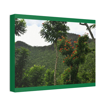 Canvas Stretched - Forest@Home - El Yunque National Forest - Recovering from Hurricane Maria - Mountains view and meaito red flowers - Green Forest Home