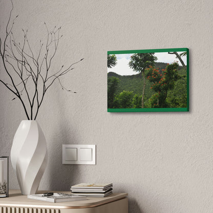 Canvas Stretched - Forest@Home - El Yunque National Forest - Recovering from Hurricane Maria - Mountains view and meaito red flowers - Green Forest Home
