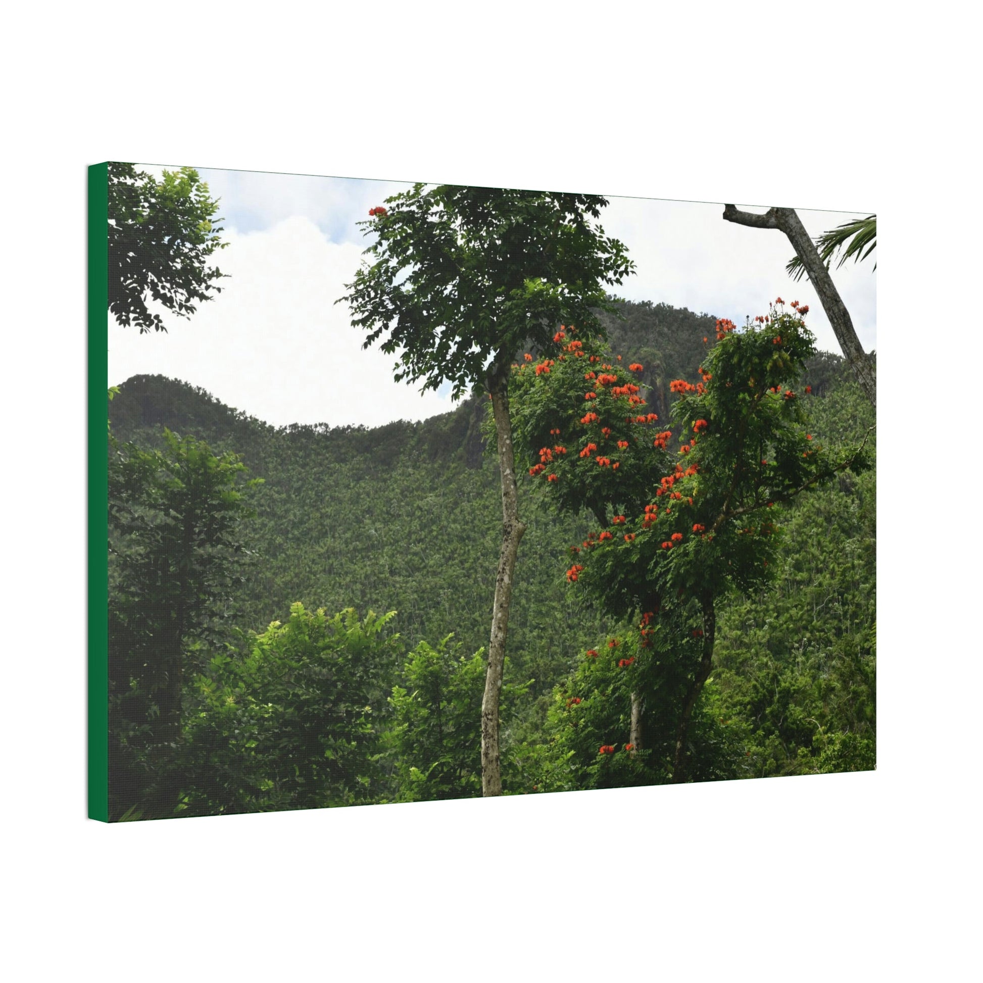 Canvas Stretched - Forest@Home - El Yunque National Forest - Recovering from Hurricane Maria - Mountains view and meaito red flowers - Green Forest Home