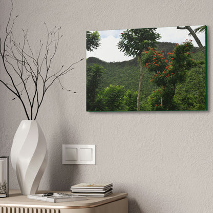 Canvas Stretched - Forest@Home - El Yunque National Forest - Recovering from Hurricane Maria - Mountains view and meaito red flowers - Green Forest Home