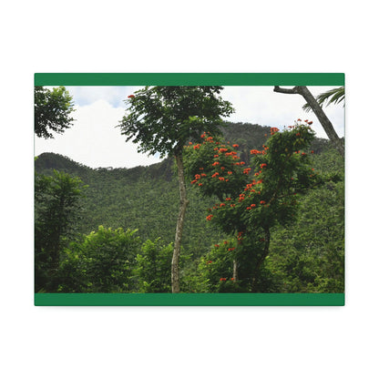 Canvas Stretched - Forest@Home - El Yunque National Forest - Recovering from Hurricane Maria - Mountains view and meaito red flowers - Green Forest Home